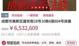 成都法拍房最新爆料,抢购热潮下的房产市场新动向