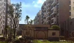 肇东最新爆料消息疫情情况,追踪最新疫情通报与防控措施”