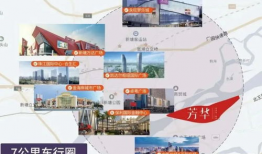 天琴湾最新消息爆料事件,揭秘神秘事件背后的真相