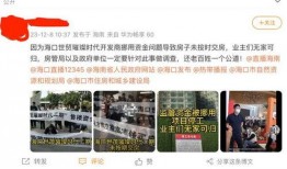 海口最新爆料,揭秘城市新动向与热点事件